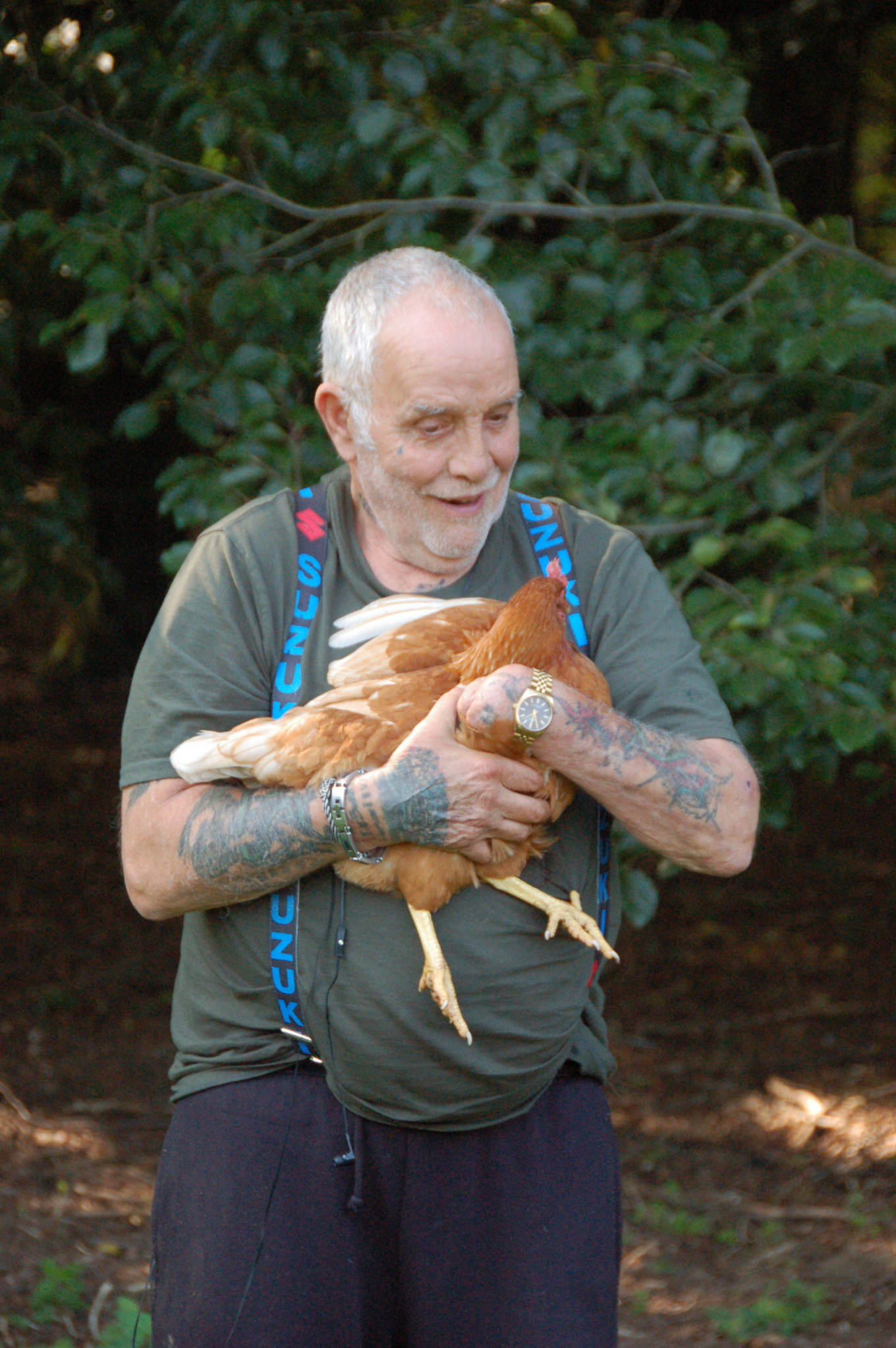 Deelnemers helpen bij het verzorgen van de dieren 