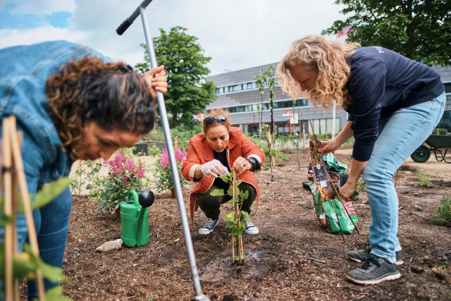 De buurttuin van het Leger des Heils in Utrecht Overvecht