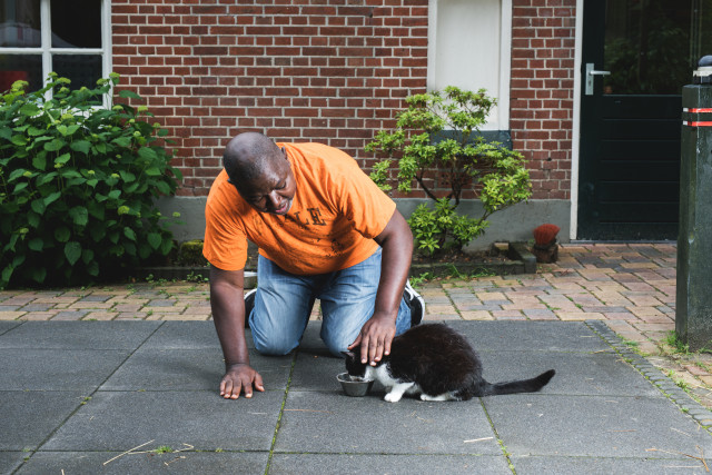 Dieren huis en haard beuningen