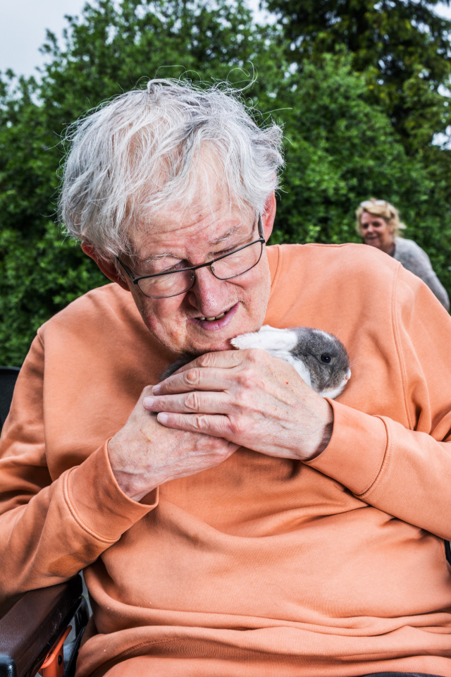 Dieren Huis en Haard Beuningen